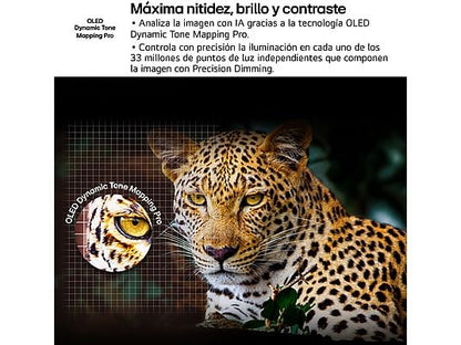 TV OLED 65 - LG OLED65G54LW, OLED 4K, Procesador Inteligente α11 AI Processor 4K Gen2, Smart TV, Rocky Black